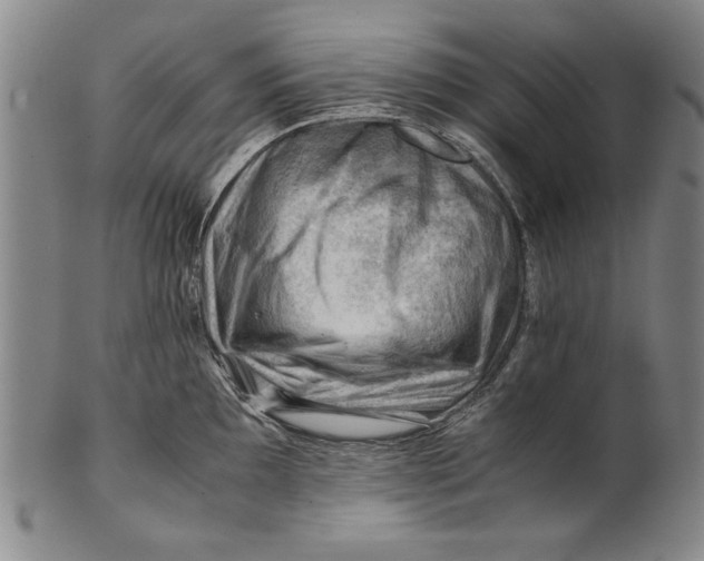 X0000101961097200808081523