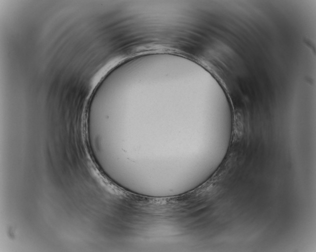 X0000101961098200808081523