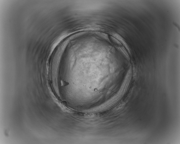 X0000101961099200808081523