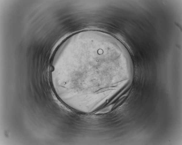 X0000101961100200808081523