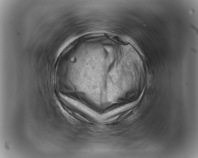 X0000101961101200808081522