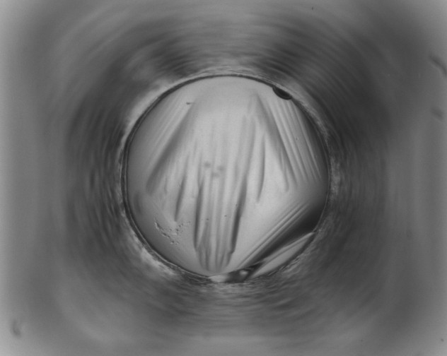 X0000101961102200808081522