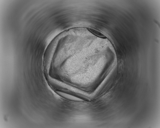 X0000101961103200808081522