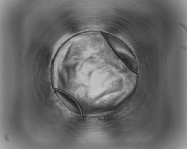 X0000101961104200808081522