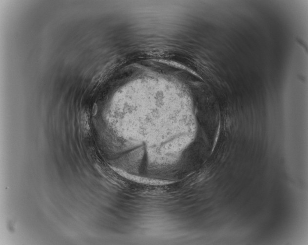 X0000101961106200808081522