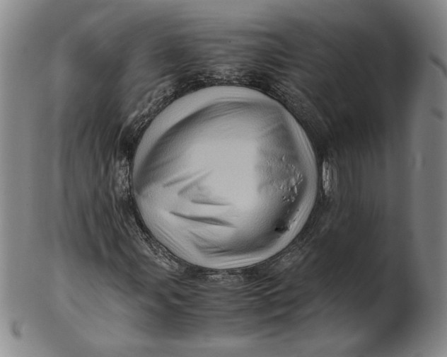 X0000101961107200808081522