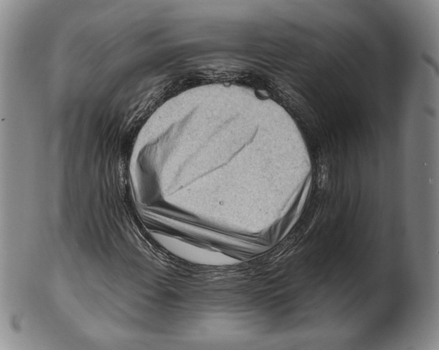 X0000101961108200808081522