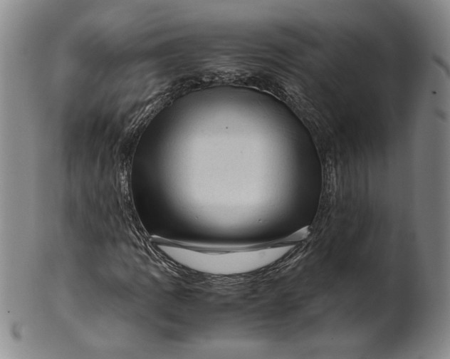 X0000101961109200808081522