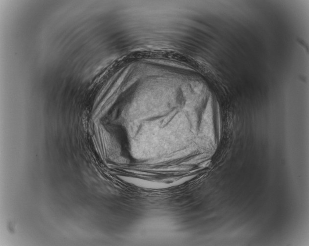 X0000101961110200808081522