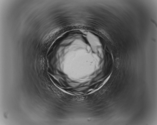 X0000101961111200808081522