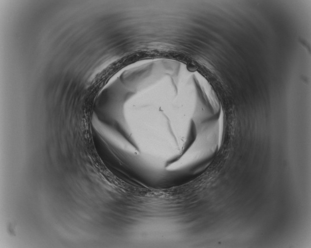 X0000101961112200808081522