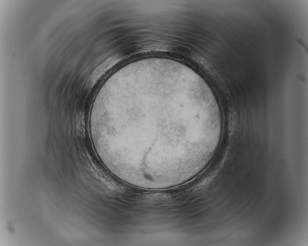 X0000101961113200808081522