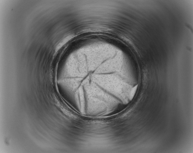 X0000101961114200808081522