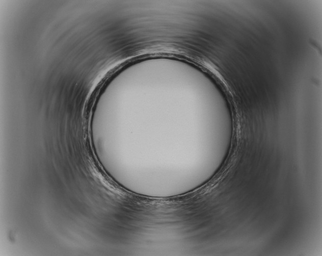 X0000101961116200808081522