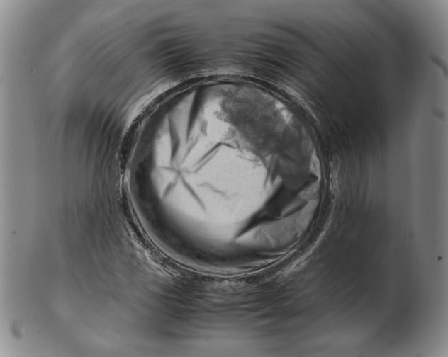 X0000101961117200808081522