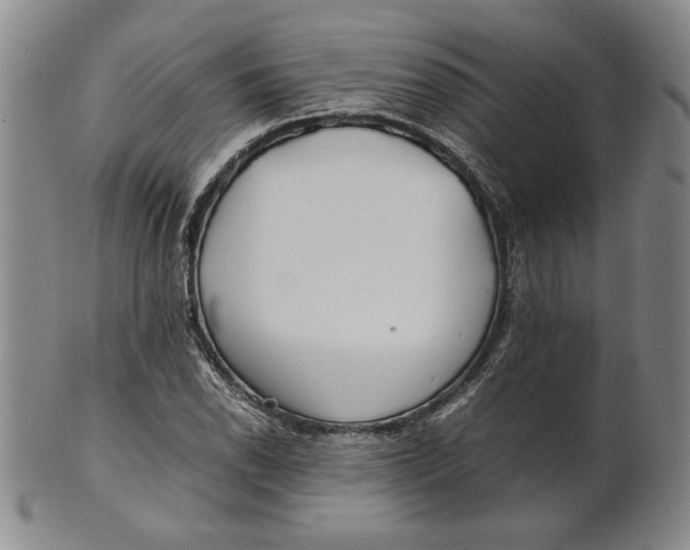 X0000101961118200808081522