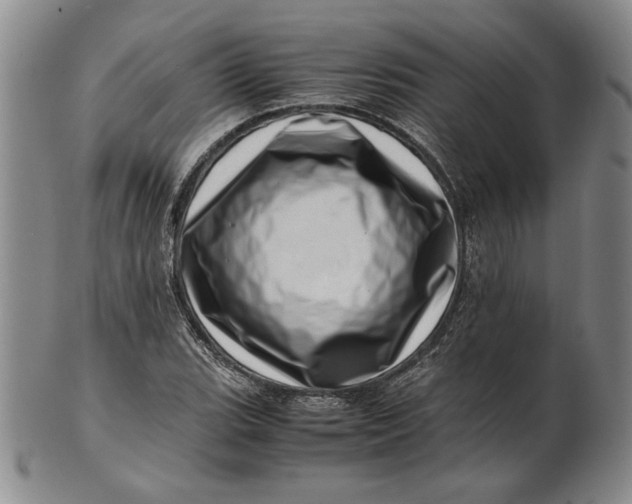 X0000101961119200808081522