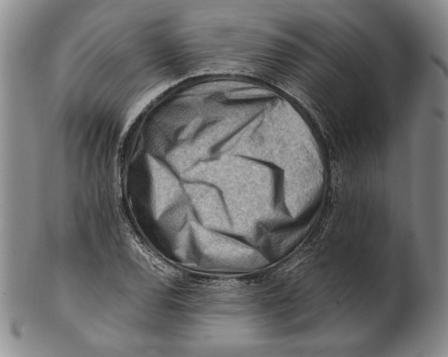 X0000101961120200808081522