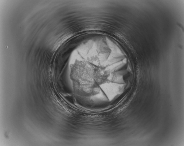 X0000101961121200808081522