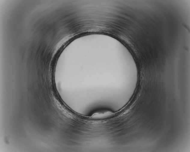 X0000101961122200808081522