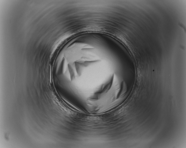 X0000101961123200808081522