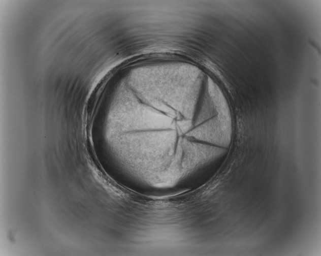 X0000101961124200808081522