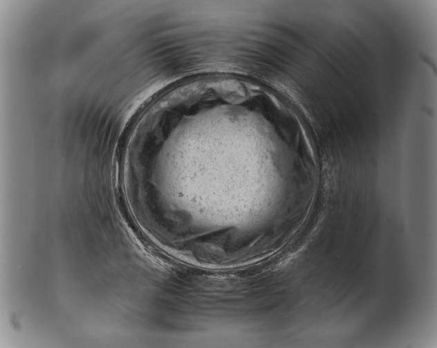 X0000101961125200808081522