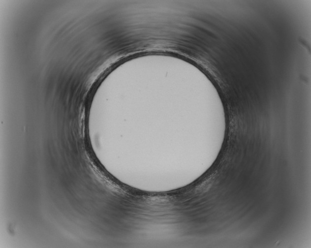 X0000101961126200808081522