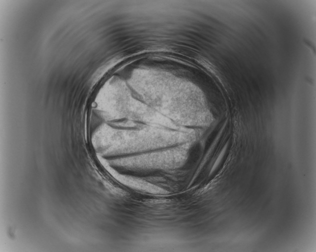 X0000101961127200808081522