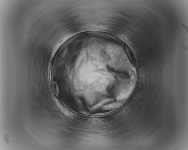 X0000101961128200808081522