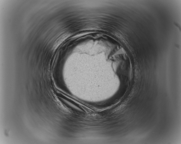 X0000101961129200808081522