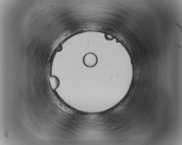 X0000101961130200808081522