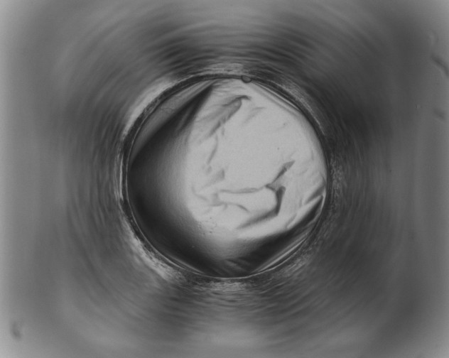 X0000101961131200808081522