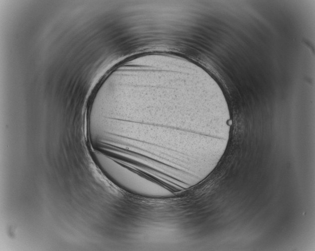 X0000101961132200808081522