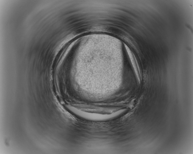 X0000101961133200808081522