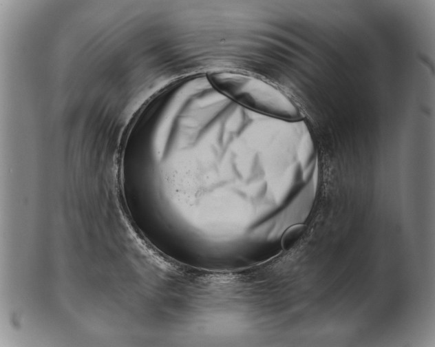 X0000101961134200808081522