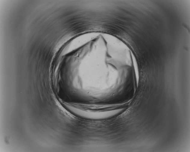 X0000101961135200808081522