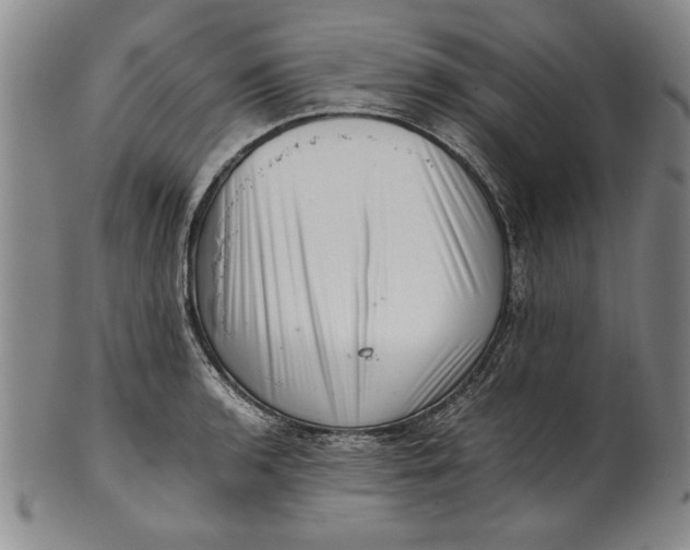 X0000101961136200808081522