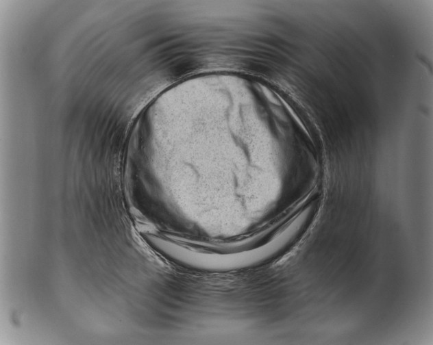 X0000101961137200808081522