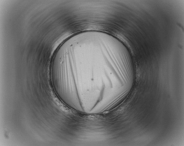 X0000101961138200808081522