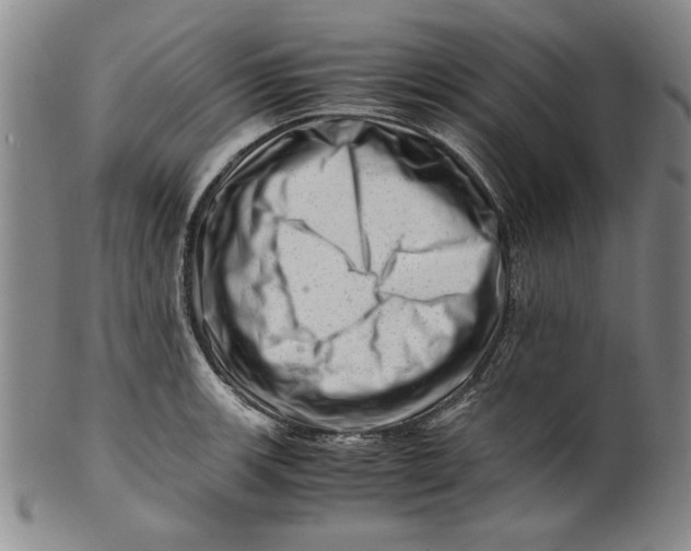 X0000101961139200808081522