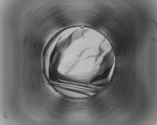 X0000101961140200808081522