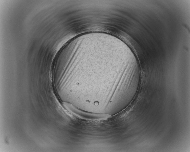 X0000101961141200808081522