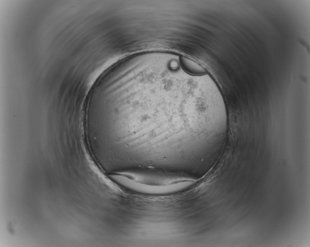 X0000101961142200808081522