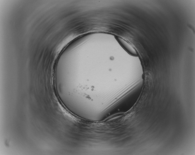 X0000101961143200808081522