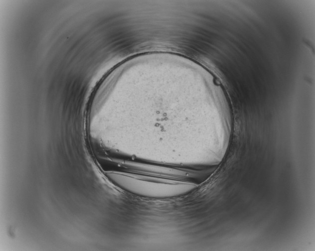 X0000101961144200808081522