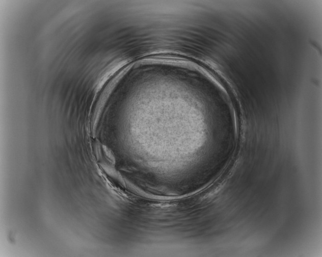 X0000101961145200808081522