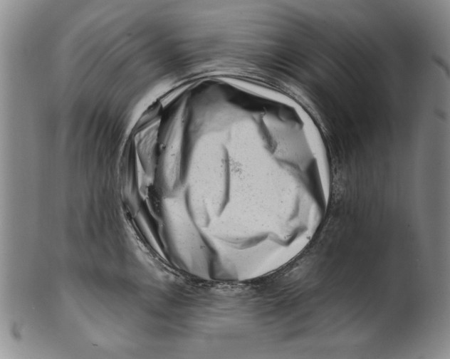 X0000101961146200808081522