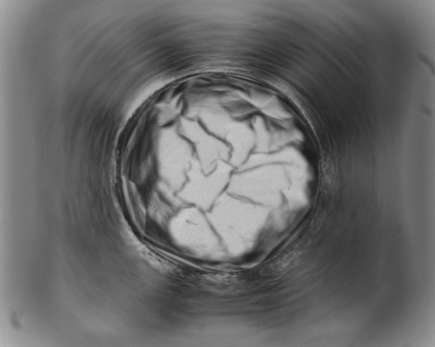 X0000101961147200808081522