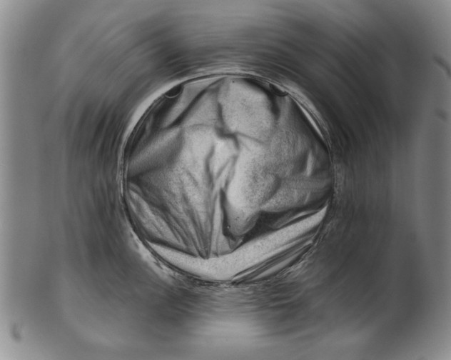 X0000101961148200808081522